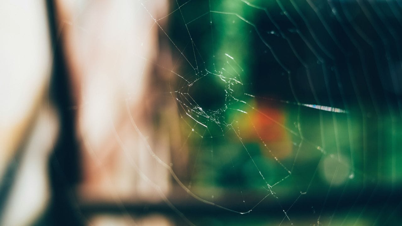 പുതിന, ടീ ട്രീ ഓയിൽ തുടങ്ങിയവ ഉപയോഗിച്ചുളള സ്പ്രേകൾ തളിക്കാം. ഇവ വെള്ളത്തിൽ കലർത്തി ഭിത്തികളുടെ താഴെ ഭാഗങ്ങളിലും മൂലകളിലും വാതിൽ ഫ്രെയിമുകളിലും സ്പ്രേ ചെയ്യുക.