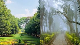 ബെം​ഗളൂരു ന​ഗരത്തിലുണ്ട് കാണാനേറെ...; വൺഡേ ട്രിപ്പ് സ്പോട്ടുകൾ