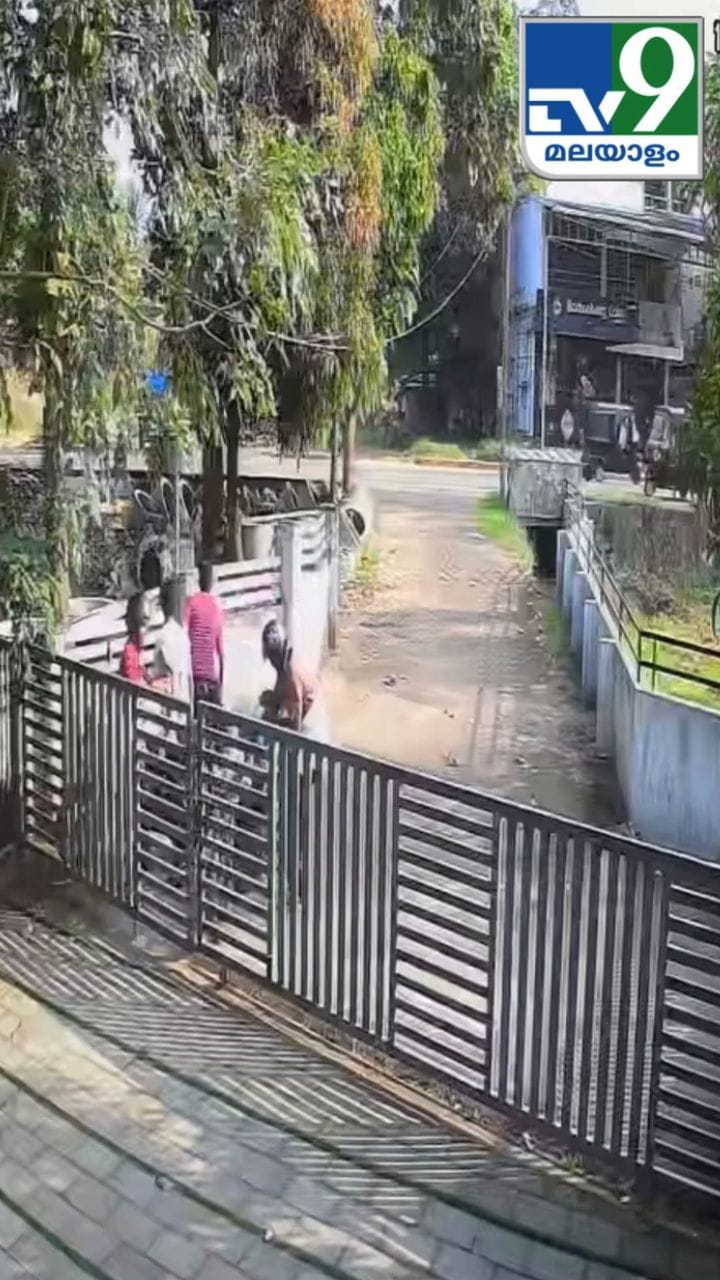 സ്കൂട്ടർ യാത്രികനെ ആക്രമിച്ച് പോത്ത്