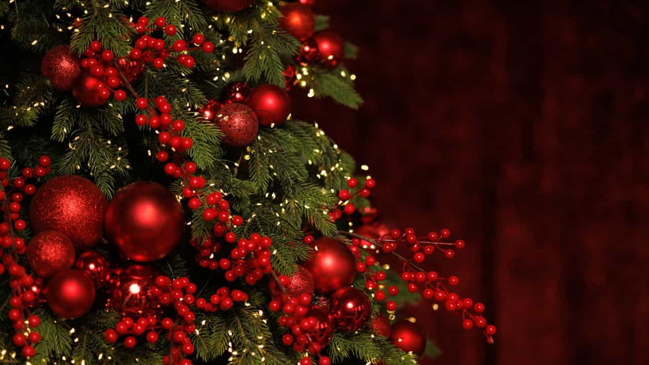 Happy Christmas 2025: കാലിത്തൊഴുത്തിൽ പിറന്ന ദൈവപുത്രൻ്റെ സ്നേഹസന്ദേശം...; പ്രിയപ്പെട്ടവർക്ക് ക്രിസ്മസ് ആശംസകൾ നേരാം