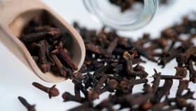 Cloves Benefits: പ്രമേഹ രോ​ഗികൾക്ക് ഉത്തമം; ദിവസവും ഗ്രാമ്പൂ ചവച്ചരച്ച് കഴിക്കൂ...