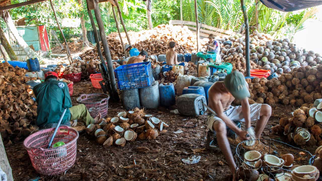 Coconut Oil Price: കേരളത്തെ ചതിച്ചത് തമിഴ്‌നാട്: വെളിച്ചെണ്ണ, തേങ്ങ വില ഇനിയെങ്ങോട്ട്?