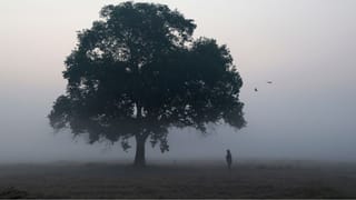 Kerala Weather Update: ഏത് വൈബ് മൂന്നാര്‍ വൈബ്! തണുപ്പ് മാത്രമല്ല, നല്ല മഴയും വരുന്നു