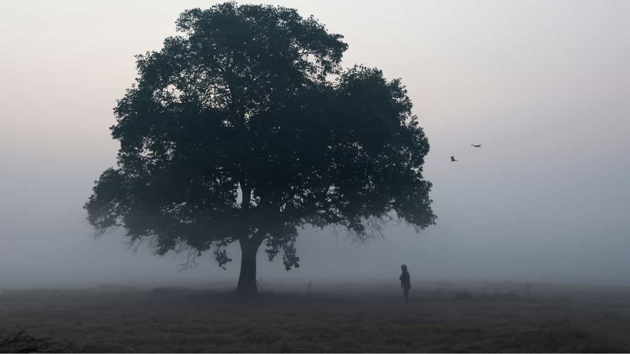 Kerala Weather Update: ഏത് വൈബ് മൂന്നാര്‍ വൈബ്! തണുപ്പ് മാത്രമല്ല, നല്ല മഴയും വരുന്നു