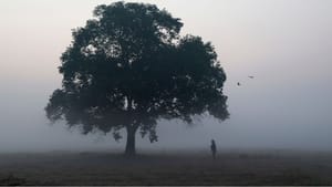 Kerala Weather Update: ഏത് വൈബ് മൂന്നാര്‍ വൈബ്! തണുപ്പ് മാത്രമല്ല, നല്ല മഴയും വരുന്നു