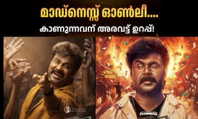 കാണുന്നവർക്ക് അര വട്ടാകും, നേരം പോയി കിട്ടും! 