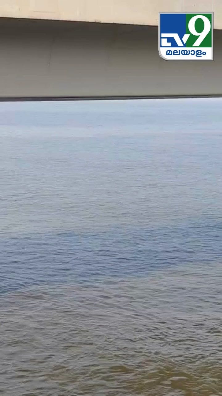 നമ്മുടെ തീരത്ത് കാണാത്ത അപൂർവ്വ കാഴ്ച, ഡോൾഫിനുകൾ കണ്ടോ?