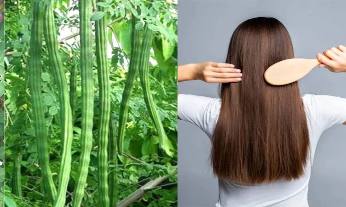 Drumstick For Hair Growth (1)