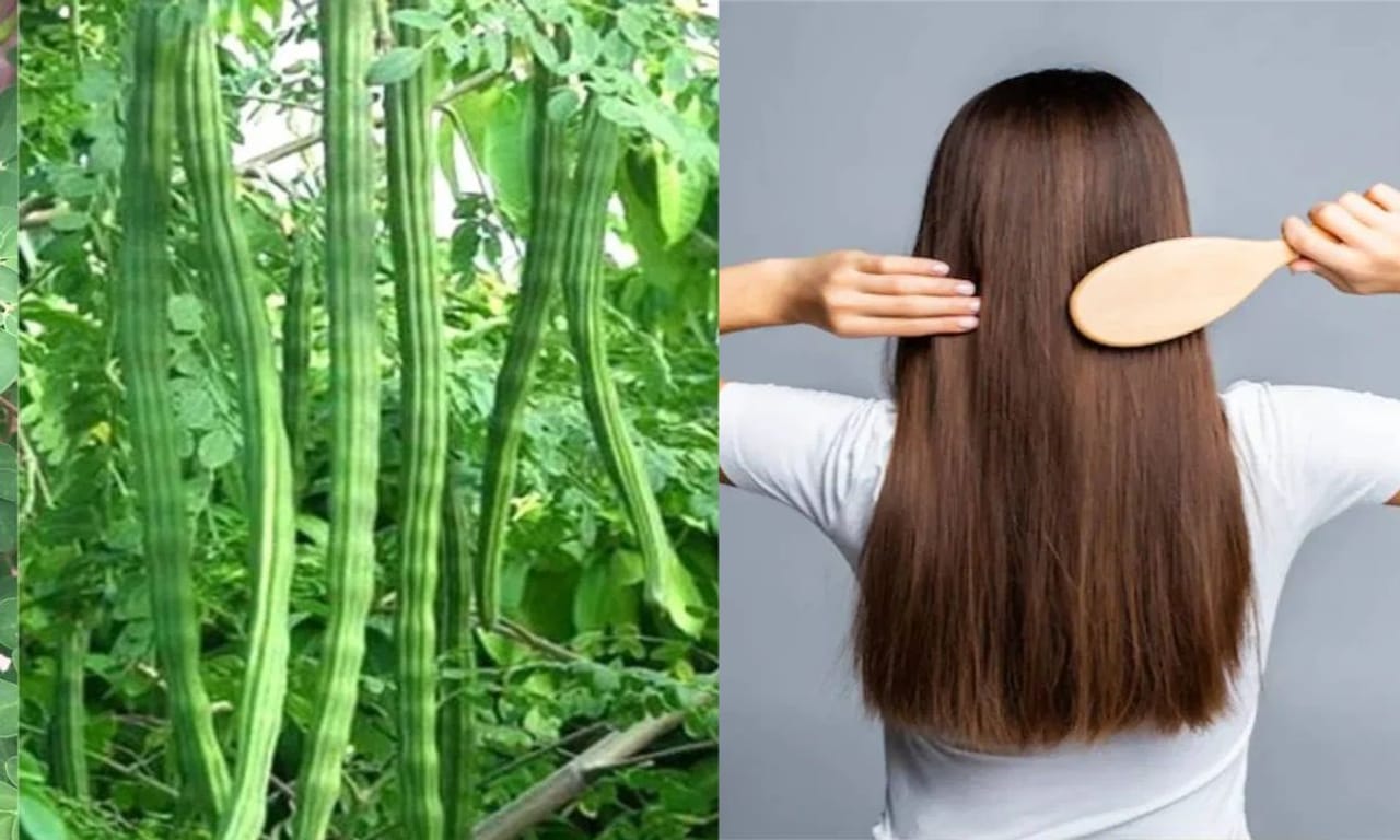 മുറ്റത്തെ മുല്ലക്ക് മണമില്ല എന്നപോലെയാണ് നമ്മുടെ നാട്ടിലും തൊടിയിലും എല്ലാം ധാരാളം കാണുന്ന സാധനങ്ങൾക്ക് നമ്മുടെ ജീവിതത്തിൽ ഒരുപാട് മാറ്റങ്ങൾ കൊണ്ടുവരാൻ സാധിക്കും. എന്നാൽ അവയെ നാം പലപ്പോഴും അവ​ഗണിക്കുകയും ചെയ്യും. അത്തരത്തിൽ ആദ്യകാലങ്ങളിൽ നമ്മുടെ വീട്ടിലും തൊടിയിലും ആയി ധാരാളം കണ്ടുകൊണ്ടിരുന്ന ഒരു മരമാണ് മുരിങ്ങ. (PHOTO: TV9 Network)