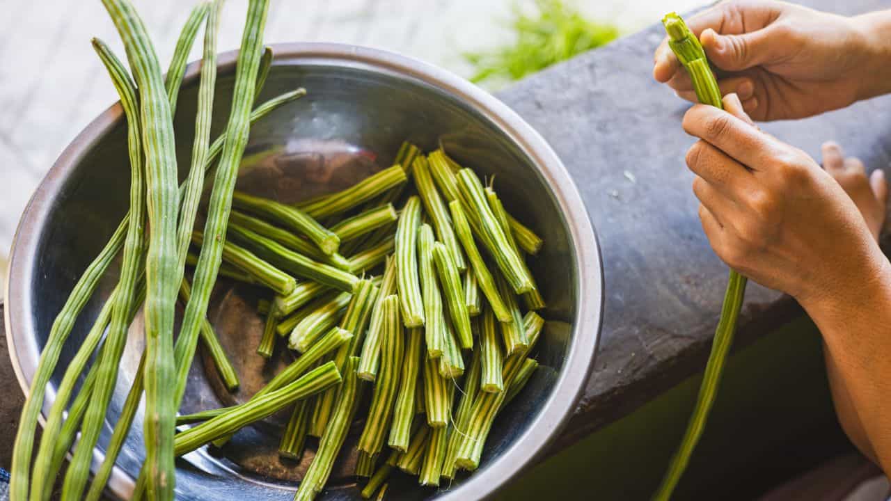 Drumstick Price Hike: പച്ചക്കറിവില അല്‍പം കഠിനംതന്നെ അയ്യപ്പാ; മുരിങ്ങയും തക്കാളിയും ആര്‍ഭാടമാണ് കേട്ടോ