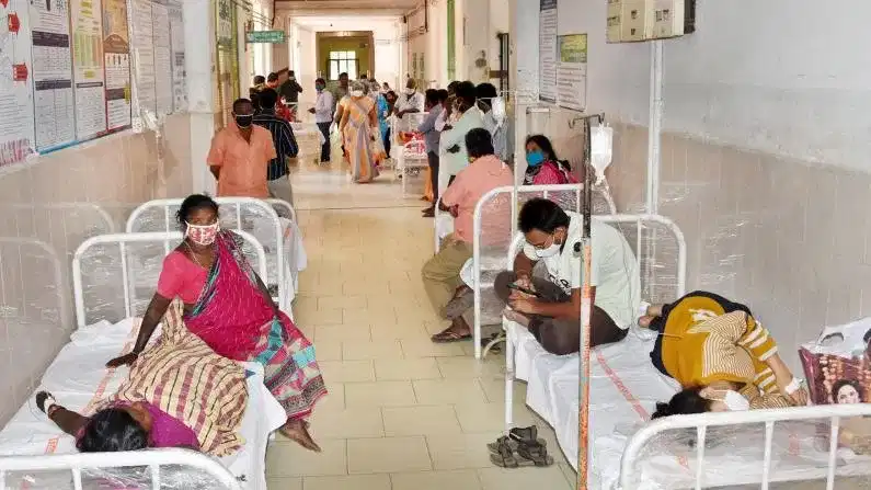 Kerala Outbreaks 2025: 2025 - ൽ കേരളത്തിൽ വന്നു... കണ്ടു.... തോറ്റു പോയ രോ​ഗങ്ങൾ ഇവരെല്ലാം...