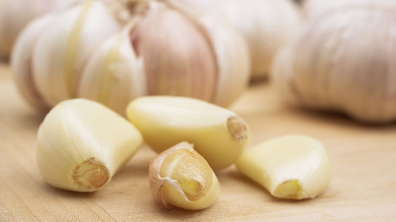 Garlic Benefits