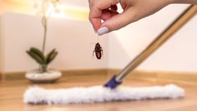 ഗ്രാമ്പുവും വിനാ​ഗിരിയും മതി; അടുക്കളയിലെ പാറ്റകളെ തുരത്താം...