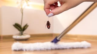 Deepti Sharma: കാര്യവട്ടത്തു നിന്ന് റെക്കോഡുകള്‍ വാരിക്കൂട്ടി ദീപ്തി ശര്‍മ; വേറെയാര്‍ക്കുമില്ല ഈ നേട്ടങ്ങള്‍