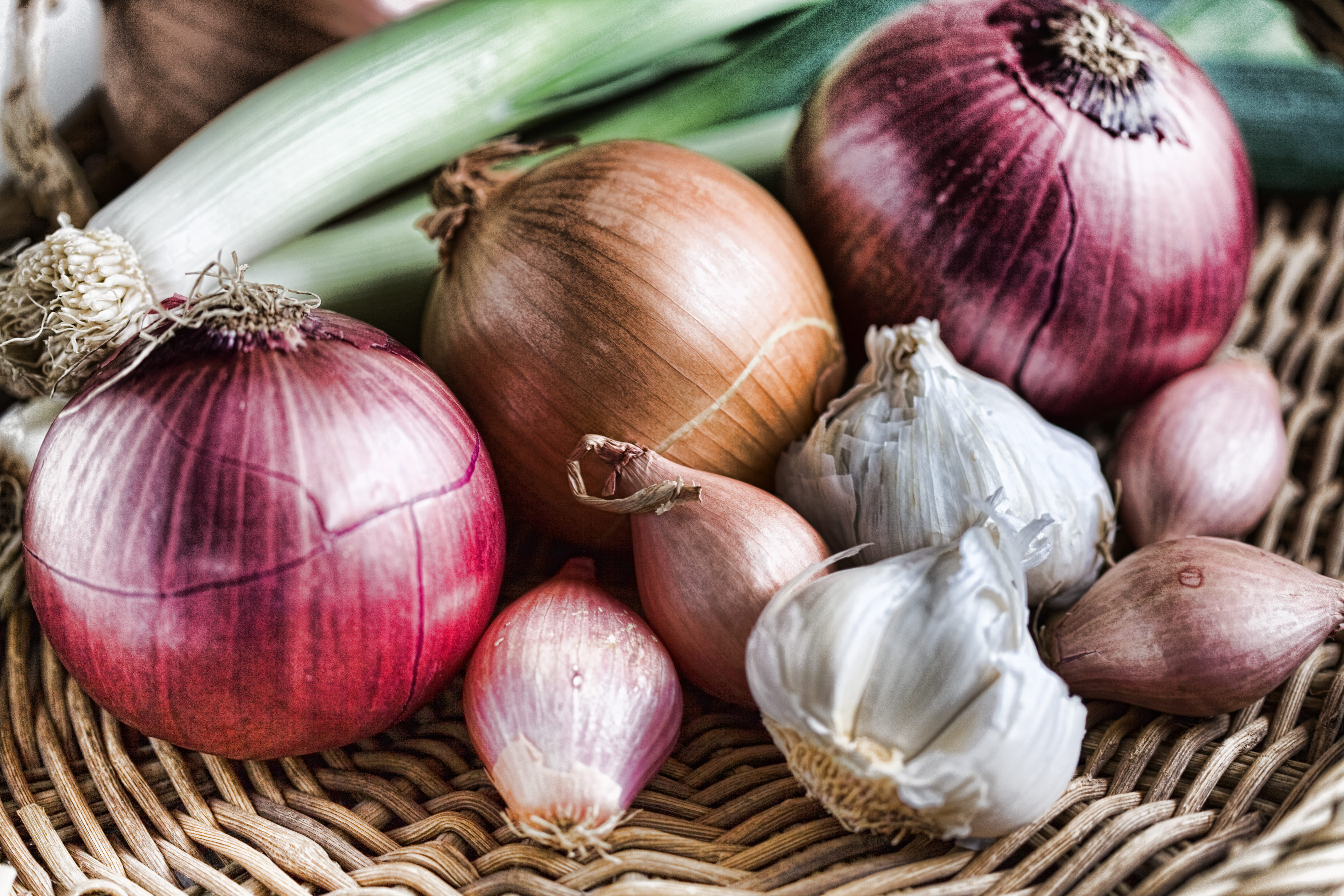 Onion juice or garlic for hair loss