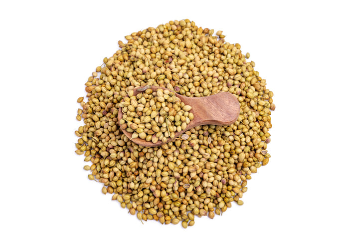 കൂടാതെ ദഹനത്തിന് ആവശ്യമായ എൻസൈമുകളെ ഉത്തേജിപ്പിക്കുകയും ചെയ്യും. ഭക്ഷണം ശരിയായി ദഹിക്കാൻ സഹായിക്കുകയും അതിലൂടെ ഗ്യാസ് ഉണ്ടാകാനുള്ള സാധ്യത കുറയ്ക്കുകയും ചെയ്യുന്നു. ഗ്യാസ് ഉണ്ടാകുമ്പോൾ പെട്ടെന്ന് ആശ്വാസം കിട്ടാൻ മല്ലിയുടെ വിത്തുകൾ ചവയ്ക്കുകയോ അല്ലെങ്കിൽ മല്ലിയിട്ട ചായ ഉണ്ടാക്കി കുടിക്കുകയോ ചെയ്യുക.