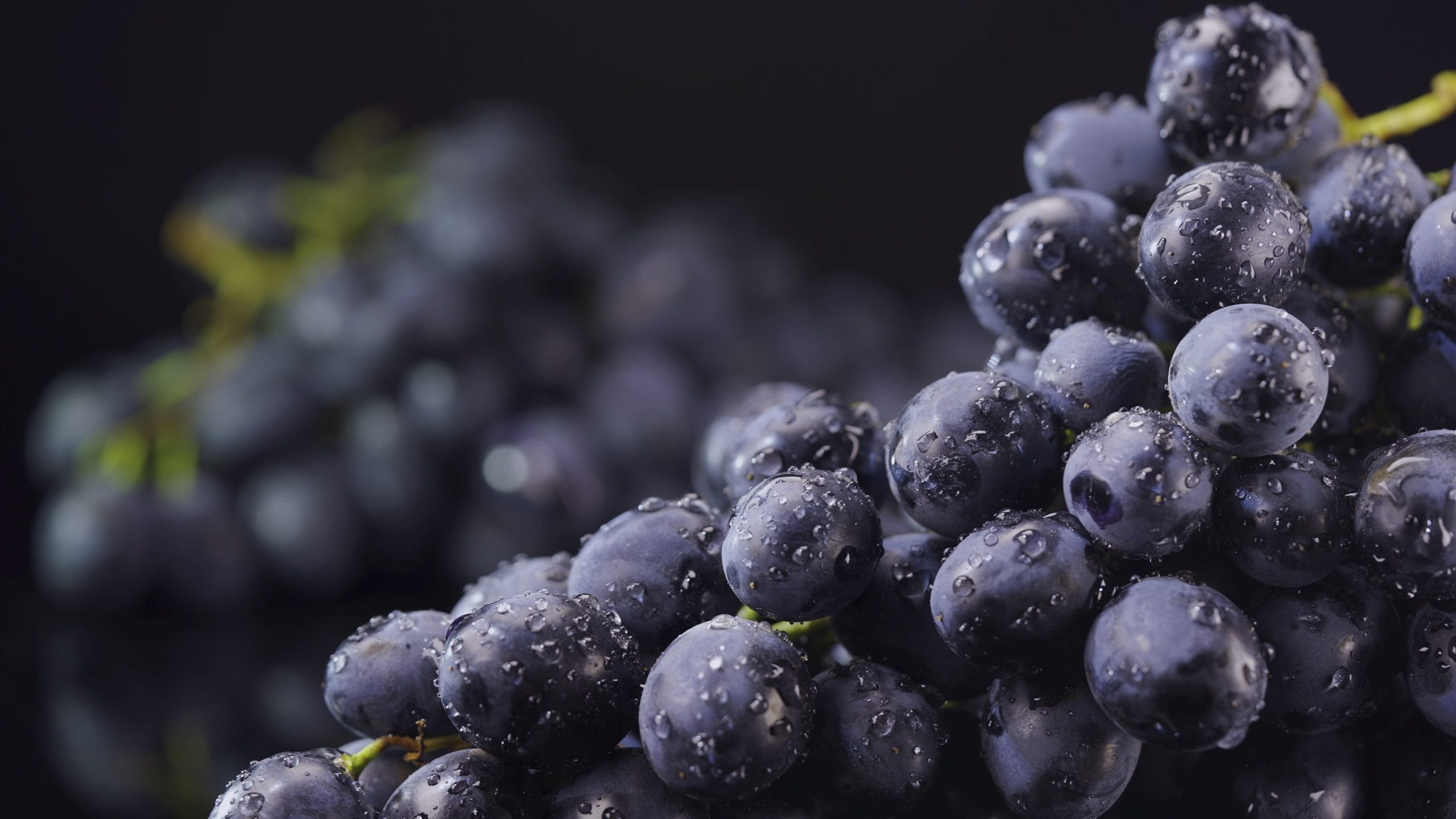 ഉയർന്ന ജലാംശവും കുറഞ്ഞ കലോറിയുമുള്ള ഇവ ജലാംശം നിലനിർത്തുന്നതിനും ശരീരഭാരം നിയന്ത്രിക്കുന്നതിനും അനുയോജ്യമാണ്. പച്ച മുന്തിരിയിൽ ഫ്ലേവനോയ്ഡുകളും മറ്റ് ആന്റിഓക്സിഡന്റുകളും അടങ്ങിയിട്ടുണ്ട്. എന്നാൽ ചുവപ്പ്, കറുപ്പ് മുന്തിരികളുമായി താരതമ്യപ്പെടുത്തുമ്പോൾ ചെറിയ അളവ് മാത്രമാണ് ഇതിലുള്ളത്. (Image Credits: Getty Images)