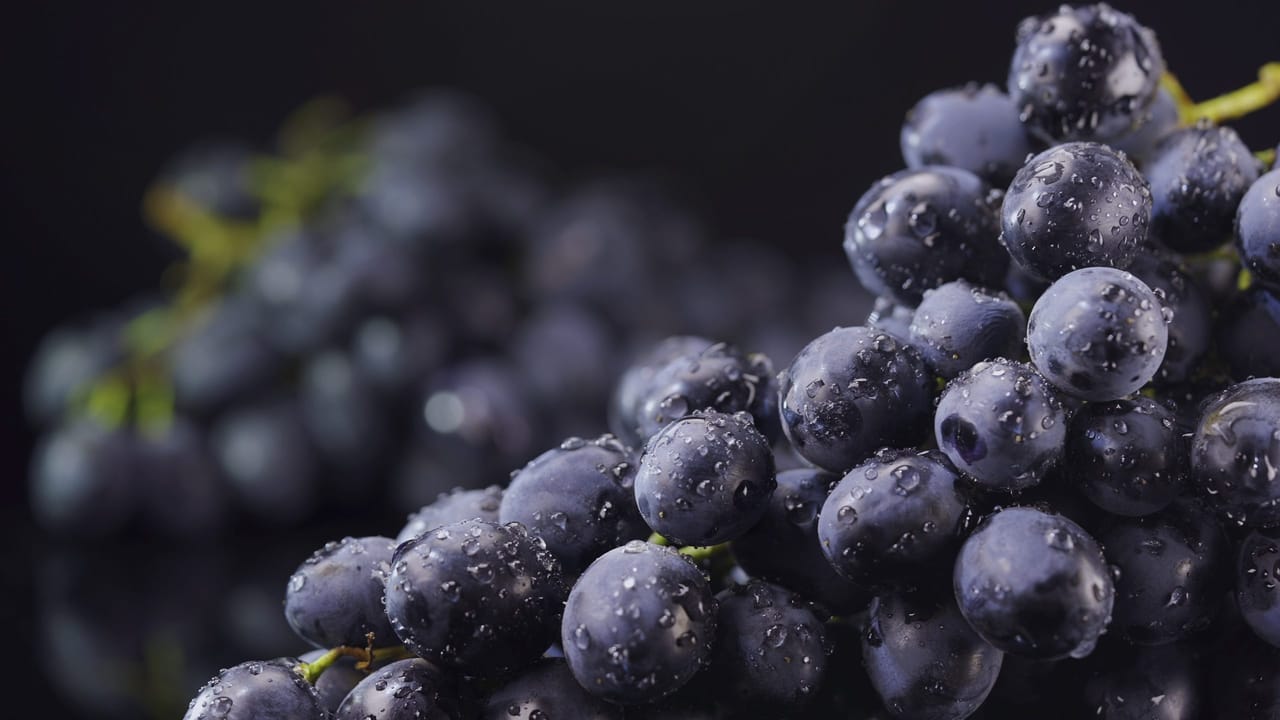 ഉയർന്ന ജലാംശവും കുറഞ്ഞ കലോറിയുമുള്ള ഇവ ജലാംശം നിലനിർത്തുന്നതിനും ശരീരഭാരം നിയന്ത്രിക്കുന്നതിനും അനുയോജ്യമാണ്.  പച്ച മുന്തിരിയിൽ ഫ്ലേവനോയ്ഡുകളും മറ്റ് ആന്റിഓക്‌സിഡന്റുകളും അടങ്ങിയിട്ടുണ്ട്. എന്നാൽ ചുവപ്പ്, കറുപ്പ് മുന്തിരികളുമായി താരതമ്യപ്പെടുത്തുമ്പോൾ ചെറിയ അളവ് മാത്രമാണ് ഇതിലുള്ളത്.  (Image Credits: Getty Images)