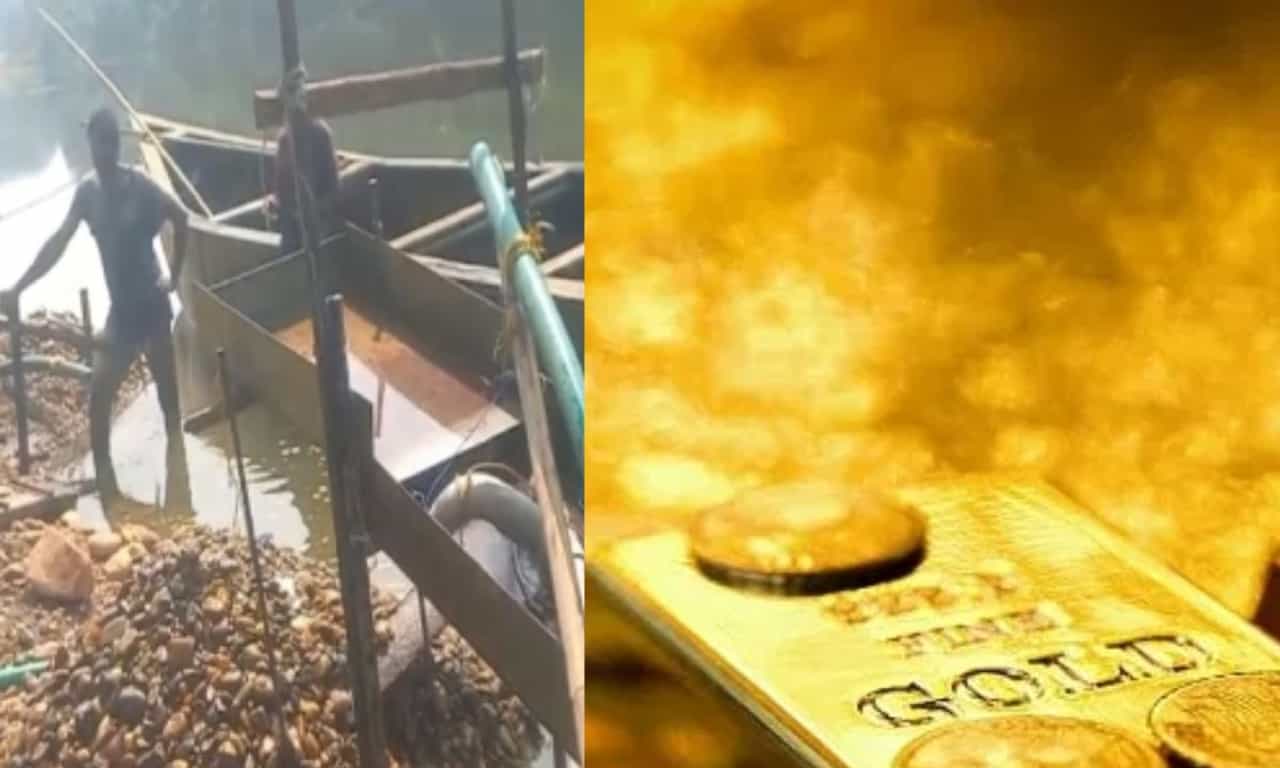 Gold Mining In Nilambur: നിലമ്പൂർ വനത്തിൽ സ്വർണ ഖനനം; 7 പേർ അറസ്റ്റിൽ