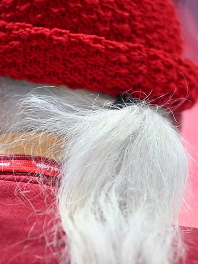 നരച്ച മുടി പിഴുതാൽ കൂടുതൽ മുടി നരയ്ക്കുമോ?