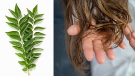 Hair Growth Tips: അടുക്കളത്തോട്ടത്തിലെ ഈ ഇല മാത്രം മതി മുടി വളരാൻ: ഉപയോ​ഗിക്കേണ്ടത് ഇങ്ങനെ...