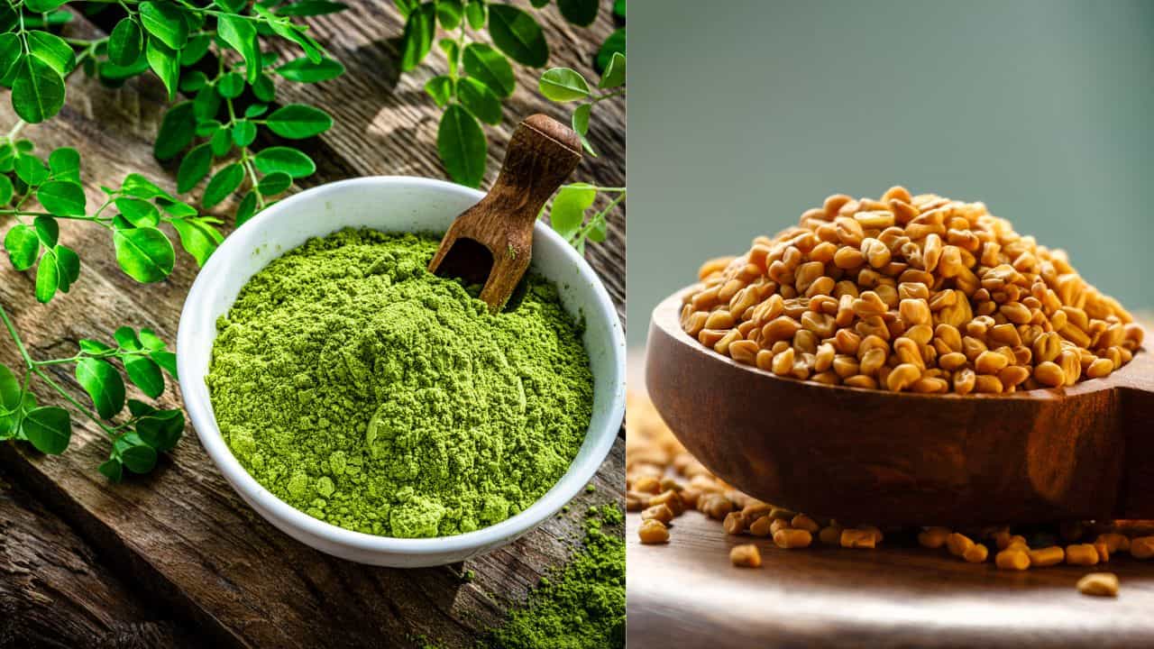 Winter Haircare Tips: മുരിങ്ങ വെള്ളമോ ഉലുവയോ: തണുപ്പുകാലത്ത് മുടിക്ക് ഏതാണ് നല്ലത്? Winter Haircare Tips: മുരിങ്ങ വെള്ളമോ ഉലുവയോ: തണുപ്പുകാലത്ത് മുടിക്ക് ഏതാണ് നല്ലത്?