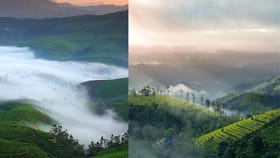 ഇടുക്കിയിൽ എവിടെ പോയാൽ മഞ്ഞ് കാണാം?; നിങ്ങൾക്കറിയാത്ത സ്പോട്ടുകൾ