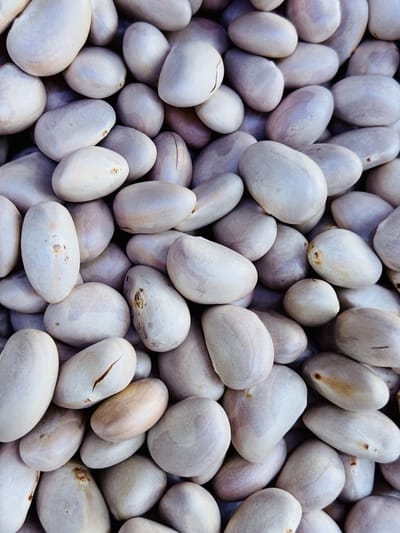 ചക്കക്കുരുവിന്റെ തൊലി കളയാന്‍ ഇതാ എളുപ്പവഴി