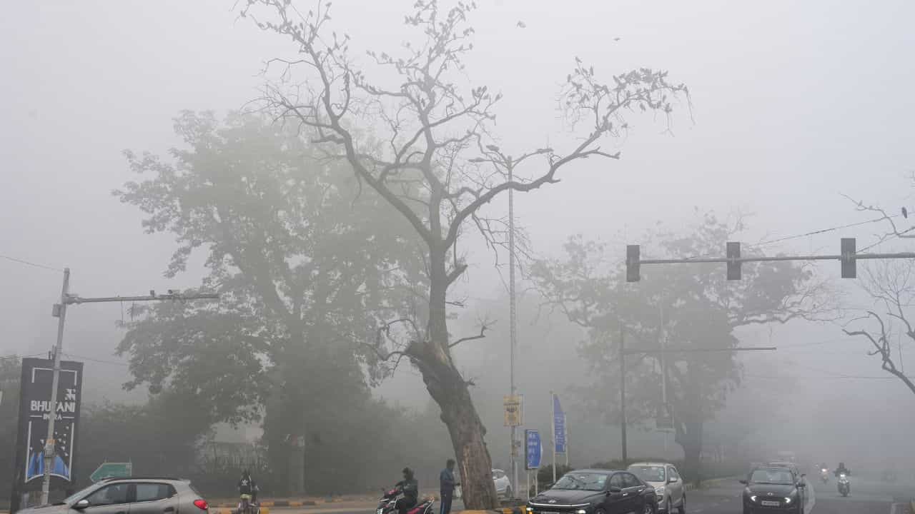 Kerala Weather Forecast: മഴയൊഴിഞ്ഞു! രാത്രിയോടെ തണുപ്പ് ഇരച്ചെത്തും; ശബരിമലയിലും കാലാവസ്ഥ സമാനം