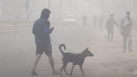 തണുപ്പ് അസഹനീയം... മഴ കാണാമറയത്ത്; ശബരിമലയിലെ കാലാവസ്ഥ അനുകൂലമോ?