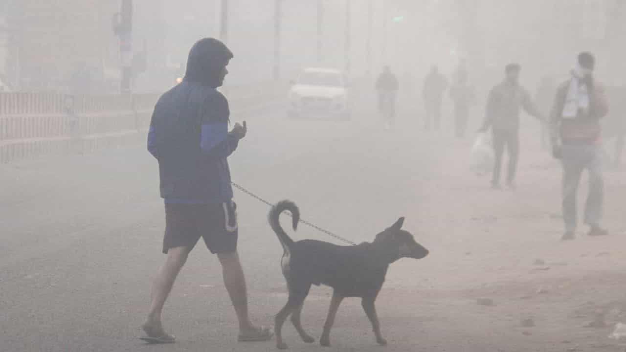 Kerala Weather Update: തണുപ്പ് അസഹനീയം... മഴ കാണാമറയത്ത്; ശബരിമലയിലെ കാലാവസ്ഥ ഭക്തർക്ക് അനുകൂലമോ?