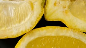 നാരങ്ങയുടെ തൊലി കളയാൻ വരട്ടെ; ഈ ആരോ​ഗ്യ പ്രശ്നങ്ങൾ പരിഹരിക്കാം