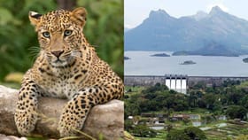 Malampuzha Travel: രാത്രിയിൽ അനാവശ്യ യാത്ര ഒഴിവാക്കണം; മലമ്പുഴയിലേക്ക് പോകുന്നവരുടെ ശ്രദ്ധയ്ക്ക്...