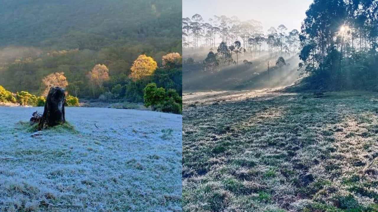Munnar Climate: തെക്കിൻ്റെ കശ്മീർ തണുത്ത് വിറക്കുന്നു; മൂന്നാറിൽ താപനില മൈനസിലേക്ക്, ഇന്നത്തെ കാലാവസ്ഥ