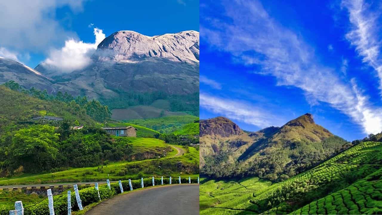 Munnar Trip: എന്നും ലൗ മൂന്നാറിനോട്... മഞ്ഞുകാണാൻ പോകാം കേരളത്തിൻ്റെ കശ്മീരിലേക്ക്