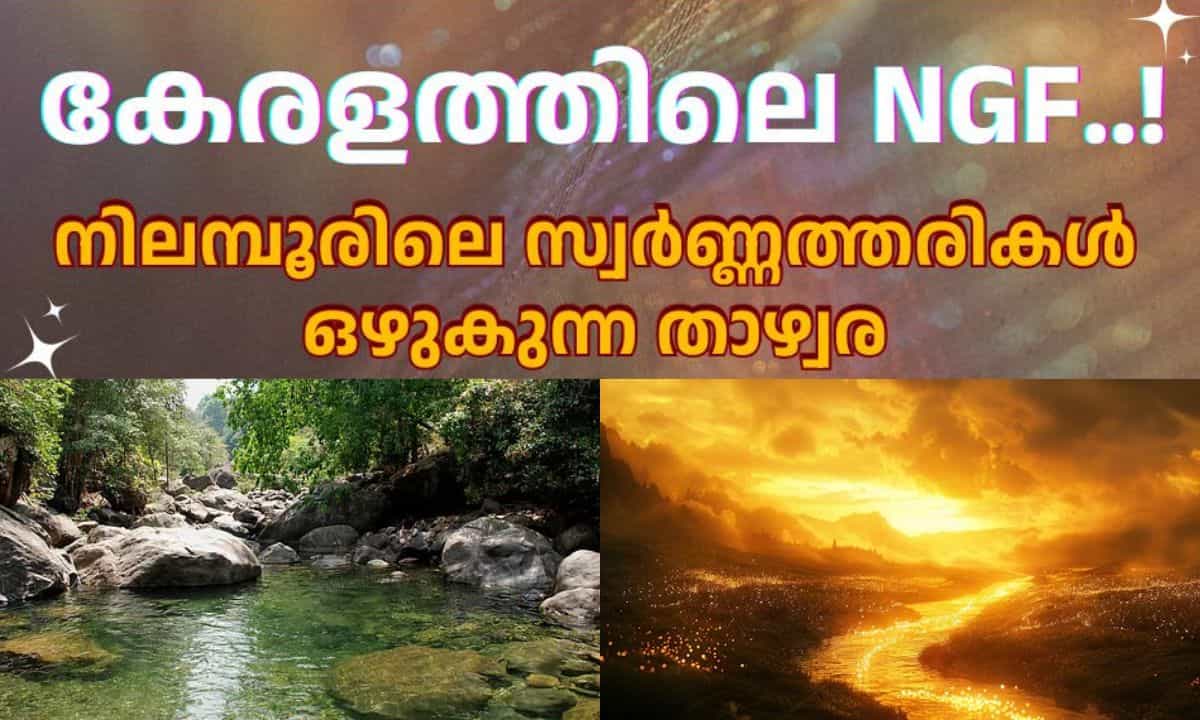 Nilambur Gold Mining: കേരളത്തിലെ NGF..! നിലമ്പൂരിലെ സ്വർണ്ണത്തരികൾ ഒഴുകുന്ന താഴ്വര