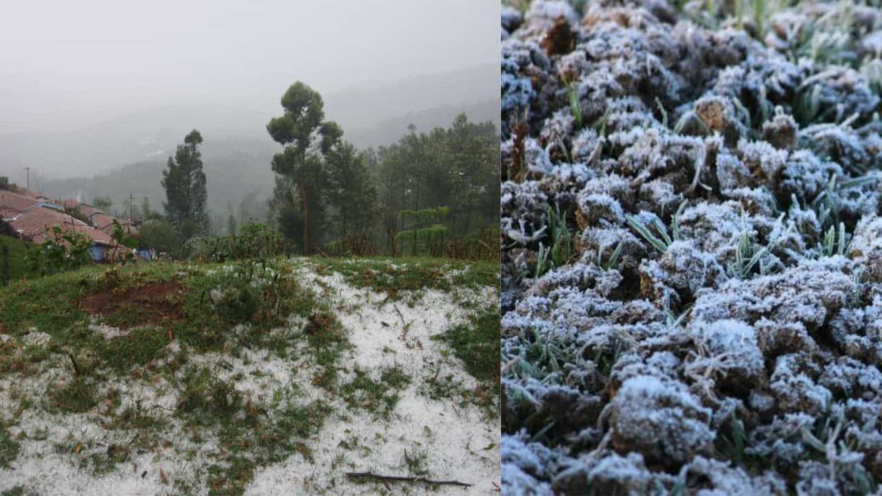 Ooty Snowfall: മഞ്ഞിൽ പൊതിഞ്ഞ് ഊട്ടി; കിടിലൻ സ്പോട്ടുകൾ ഏതെല്ലാം, പോകും മുമ്പ് അറിയണം ഇക്കാര്യം
