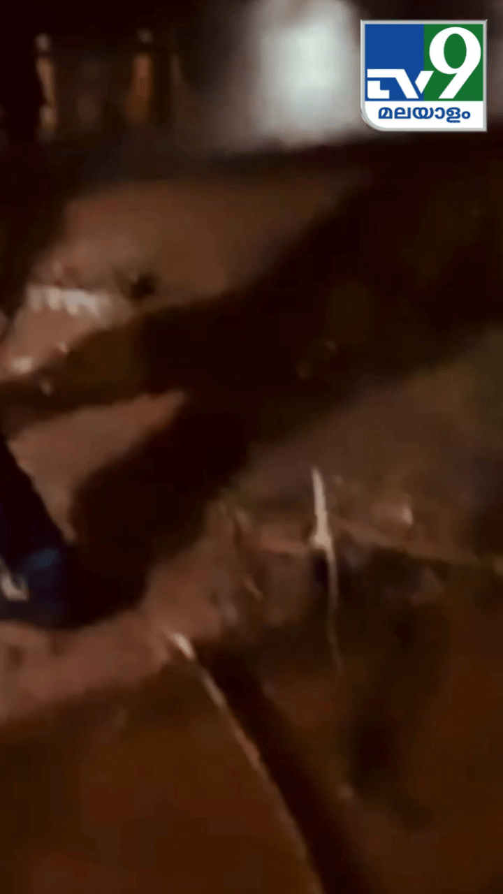 പനമരത്ത് നിന്നും പിടികൂടിയ പെരുമ്പാമ്പ്