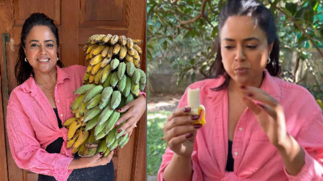 Sameera Reddy: വാഴക്കുല പഴുക്കാൻ എത്ര ദിവസമെടുക്കും? ഉത്തരം പറയുന്നത് നടി സമീറ റെഡ്ഡി