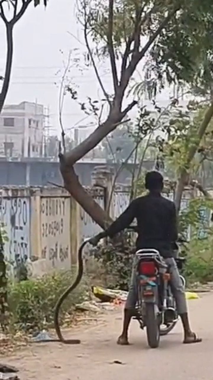 ബൈക്കിൽ പോകുന്നയാളുടെ കയ്യിൽ