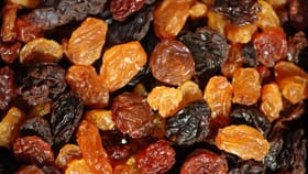 Soaked Vs Dry Raisins: ഉണക്കമുന്തിരി കുതിർത്ത് കഴിക്കുന്നതോ അല്ലാതെ കഴിക്കുന്നതോ നല്ലത്: കൂടുതലറിയാം