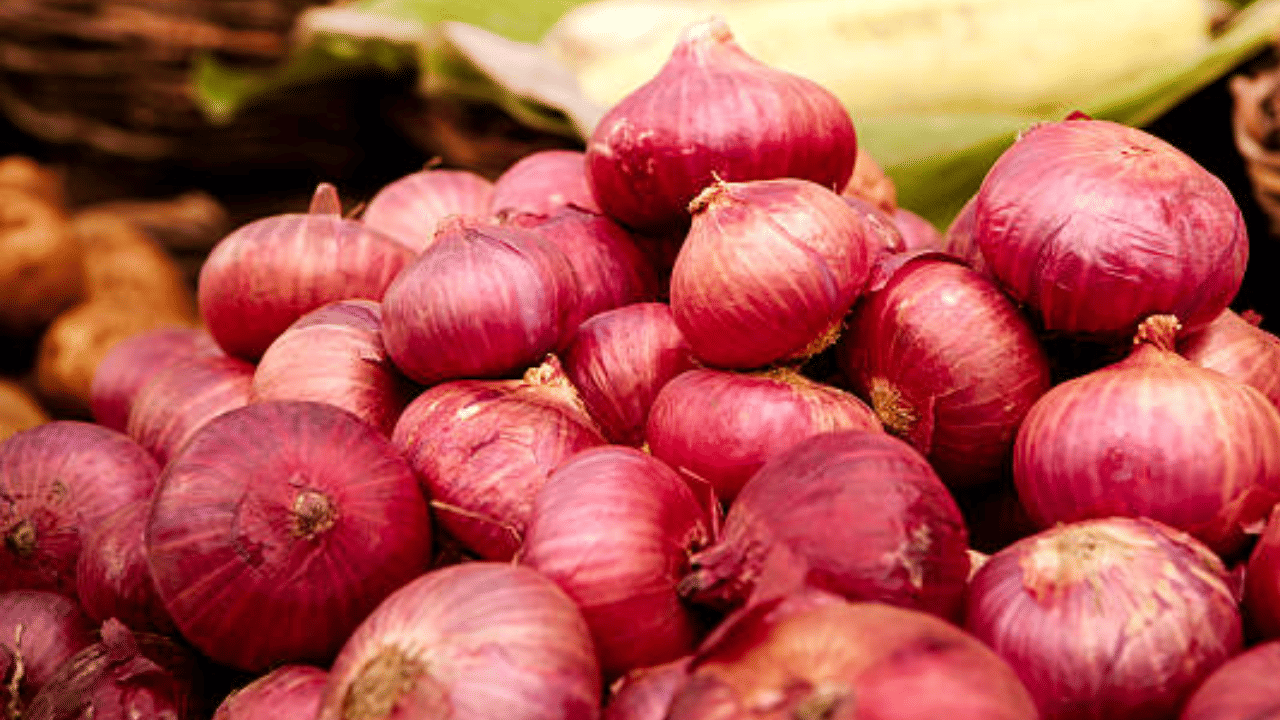 പുരികത്തിന്റെ കട്ടികൂട്ടാൻ ഉള്ളി അല്ലെങ്കിൽ സവാളയുടെ നീര് സഹായിക്കും. സവാള അരിഞ്ഞ് മിക്സിയിലിട്ട് ഒന്ന് അടിച്ചെടുക്കുക. ശേഷം സവാള ജ്യൂസ് അഞ്ച് മിനിറ്റ് പുരികത്തില് തെക്കുക. ഉണങ്ങയതിന് ശേഷം വെളളം കൊണ്ട് കഴുകി കളയാവുന്നതാണ്.