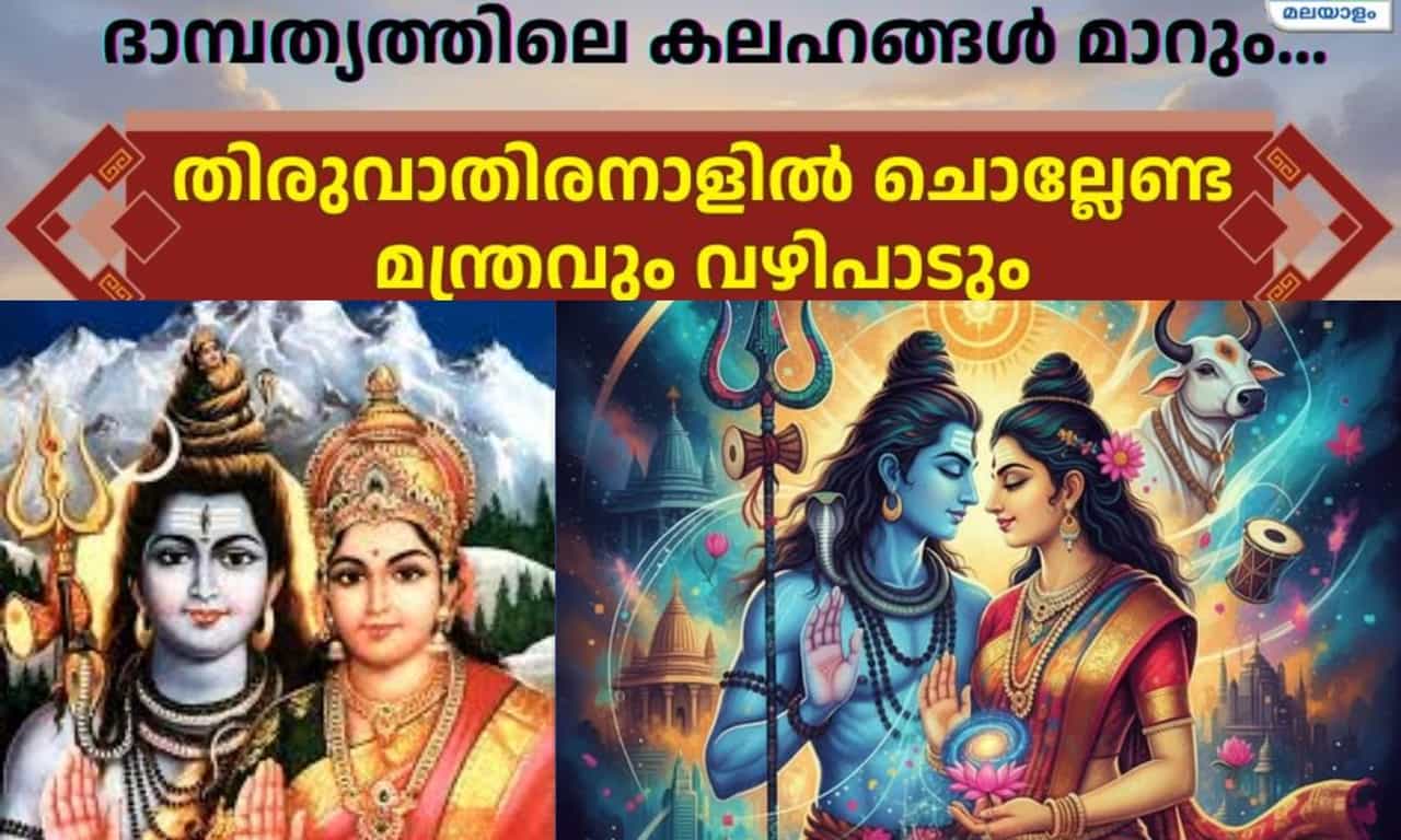 Thiruvathira 2026: ദാമ്പത്യത്തിലെ കലഹങ്ങൾ മാറും; തിരുവാതിരനാളിൽ ചൊല്ലേണ്ട മന്ത്രവും വഴിപാടും Thiruvathira 2026: ദാമ്പത്യത്തിലെ കലഹങ്ങൾ മാറും; തിരുവാതിരനാളിൽ ചൊല്ലേണ്ട മന്ത്രവും വഴിപാടും