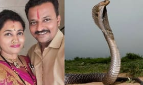 ഉത്ര മോഡൽ കൊലപാതകം വീണ്ടും; ഭാര്യയെ പാമ്പിനെ കൊണ്ട് കടിപ്പി...