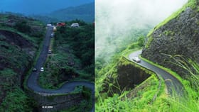 വാഗമണിലേക്ക് പോകുന്ന ഈ വഴികൾ അപകടം; സുരക്ഷിതമായി പോകാം ഇങ്ങനെ