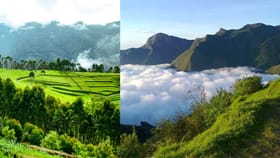 വട്ടവടയിലേയ്ക്കാണോ യാത്ര? ഇക്കാര്യങ്ങൾ അറിഞ്ഞിരിക്കണേ...