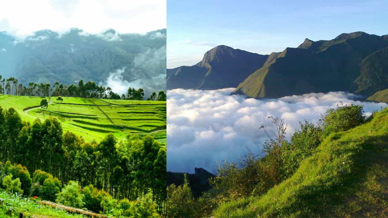 Vattavada Trip: വട്ടവടയിലേയ്ക്കാണോ യാത്ര? ഇക്കാര്യങ്ങൾ അറിഞ്ഞിരിക്കണേ... അല്ലെങ്കിൽ