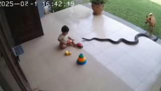 Actress Assault Case: ദിലീപും കാവ്യയും തമ്മിൽ ബന്ധമുണ്ടെന്നറിയാമായിരുന്നിട്ടും റിമി ടോമി ഒന്നും പറഞ്ഞില്ല: വിചാരണക്കോടതിയിൽ മഞ്ജു പറഞ്ഞത്