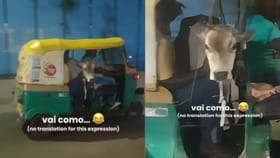 അല്ലാ ആരിത് മിട്ടുവോ! ഓട്ടോയില്‍ യാത്ര ചെയ്യുന്നയാളെ കണ്ട് ഞെട്ടി