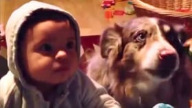 ഞെട്ടിയത് മാതാപിതാക്കൾ കുട്ടിയെ സംസാരിക്കാൻ പഠിപ്പിച്ചപ്പോൾ